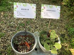 -上海植物园-4号门售票处