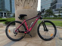 -道路口单车爱瓦士dahon大行