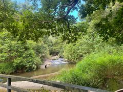 -广东天露山旅游度假区