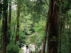 -火炉山森林公园