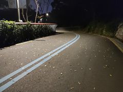 -飞凤山奥体公园
