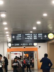 -上海交通大学医学院附属上海儿童医学中心(陆家嘴总院区)