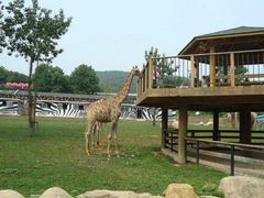 -大连森林动物园