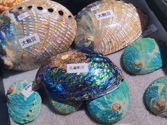 -摩登百货(岗顶店)