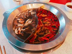 -DaLongYi Hotpot - 大龙燚火锅 - 地道四川老火锅