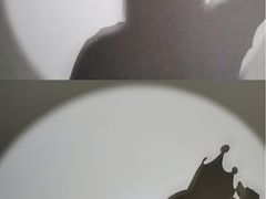 -BLACKSWAN黑天鹅(环球店)