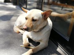 -Cactus墨西哥仙人掌餐厅