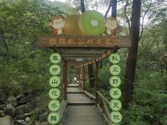 -大岭沟猕猴桃谷风景区