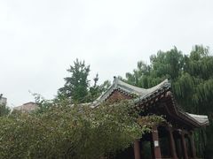 -元大都城垣遗址公园