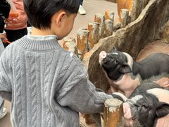 -长鹿旅游休博园