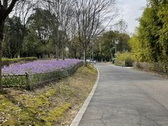 -白塘生态植物园