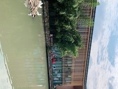 -田园东方蜜桃村的田野营地