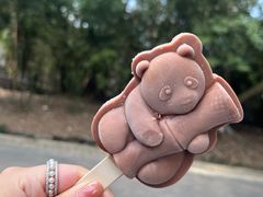 -成都大熊猫繁育研究基地