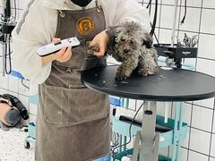 -BABIT巴比特宠物(MOMOPARK店)