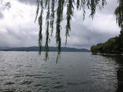 -杭州西湖柳莺里酒店·闻莺厅