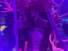 -沈阳海洋探索中心