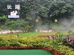 -广州长隆飞鸟乐园
