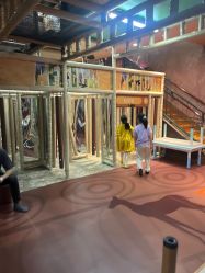 -卡通尼·Safari非洲探索乐园·生日会(金桥国际商业广场店)