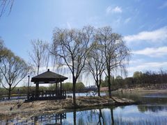 -大兴滨河森林公园