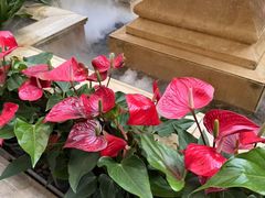 -利顺德大饭店·维多利亚花园(小白楼店)