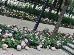 -上海怡沁园度假酒店
