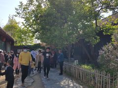 -王家大院