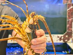 -长平肥姐白粥·海鲜打冷