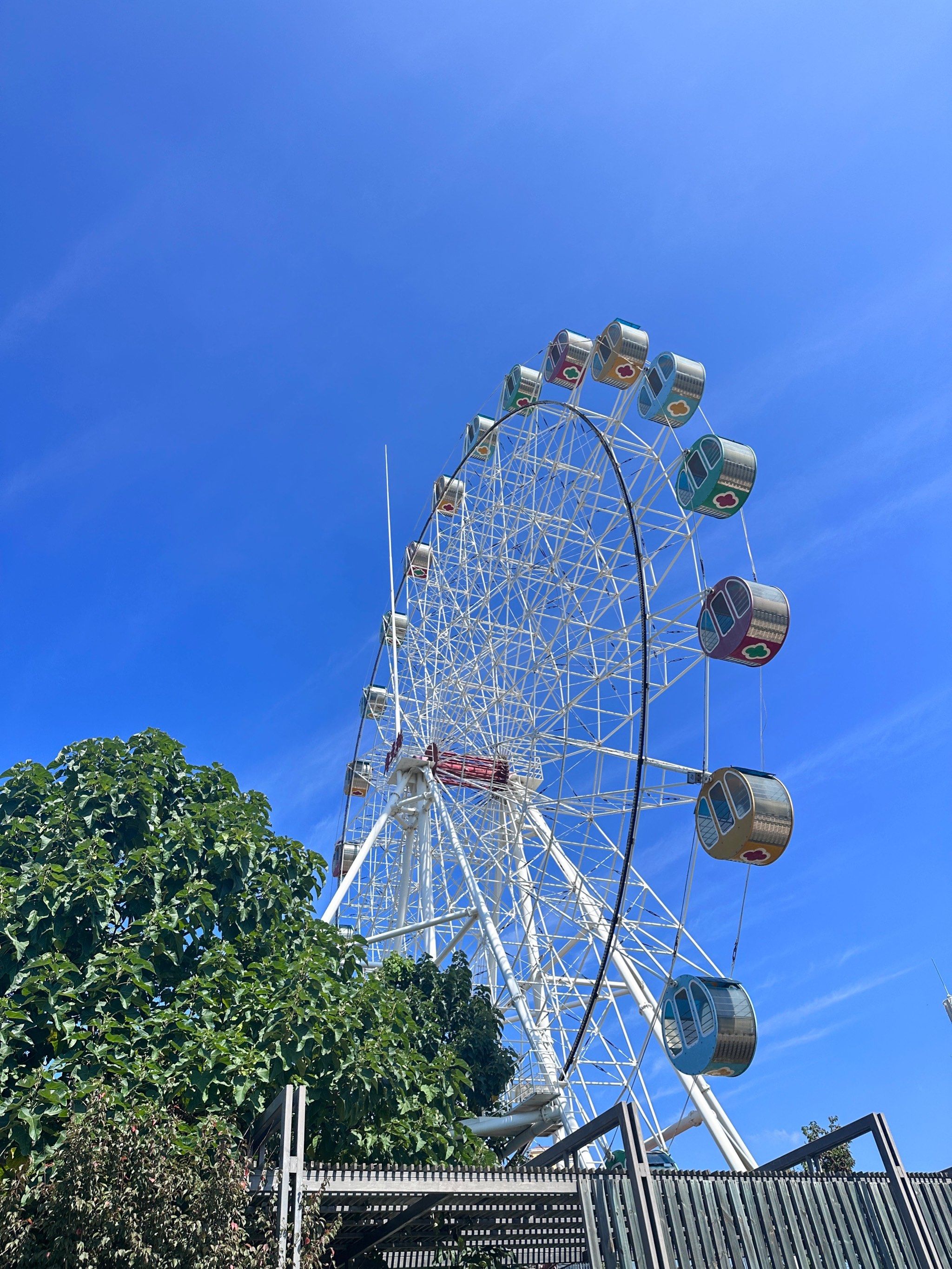 去了鱼鸟河湿地公园,看了心心念念的荷花03 一开始导航到鱼鸟河公园