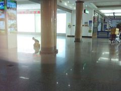 android_upload_pic-牡丹江海浪国际机场