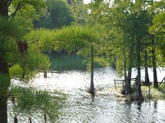 -尚贤河湿地