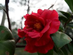 -华南国家植物园-售票处