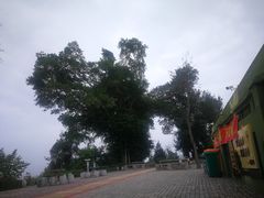 -大嶝英雄三岛战地观光园