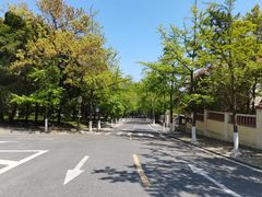 -八大关景区