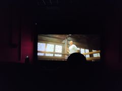 -奥斯卡升龙国际影城(RealD Cinema)