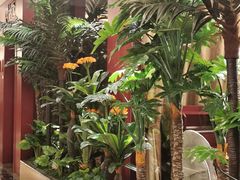 -椿记烧鹅(北门店)