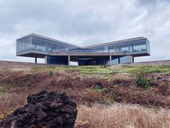 -涉地可支