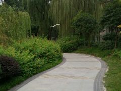 -成飞公园