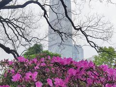 -柳侯公园