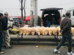 -蒲河大集