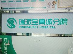 -瑞派动物医院·猫专科·至诚(江南中分院)