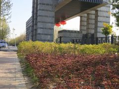 -河南财经政法大学(郑东校区)