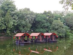 -侨美·唐荔园·40年地道粤菜