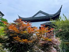 -芥子园