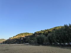 -南泥湾风景区
