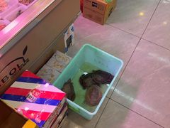-地锅公社·现炒地锅鸡·地锅鱼·夜宵(罗锦路店)