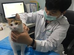 -瑞派·关忠动物医院(国瑞店)