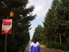 -东北师范大学附属中学(自由校区)