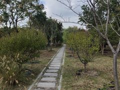 -柳鹭田园区