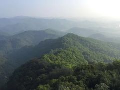 -大屏嶂森林公园