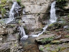 -江西阳明山国家森林公园